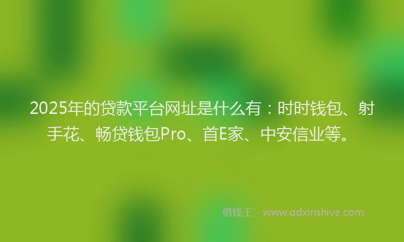 2025年的贷款平台网址是什么有：时时钱包、射手花、畅贷钱包Pro、首E家、中安信业等。