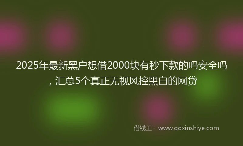 2025年最新黑户想借2000块有秒下款的吗安全吗，汇总5个真正无视风控黑白的网贷