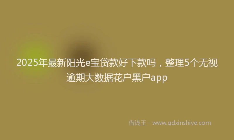 2025年最新阳光e宝贷款好下款吗，整理5个无视逾期大数据花户黑户app