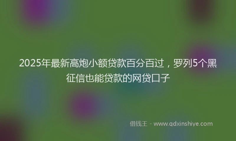 2025年最新高炮小额贷款百分百过，罗列5个黑征信也能贷款的网贷口子