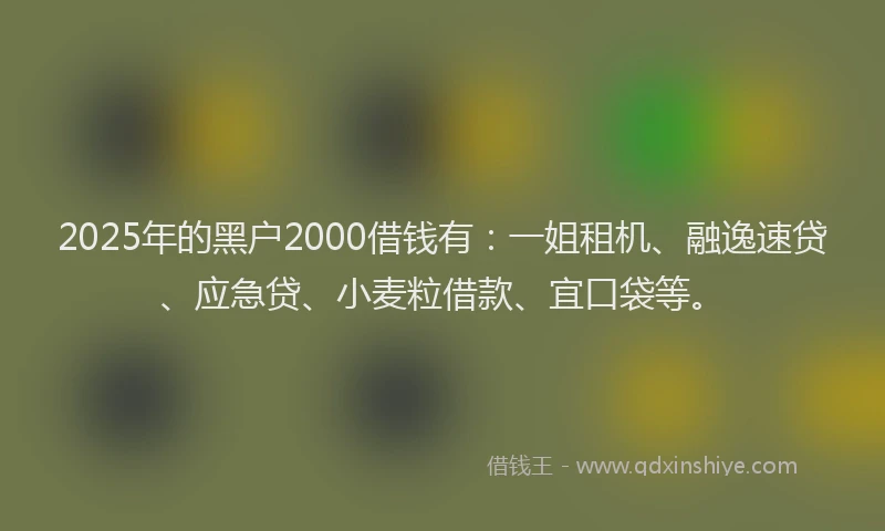 2025年的黑户2000借钱有：一姐租机、融逸速贷、应急贷、小麦粒借款、宜口袋等。