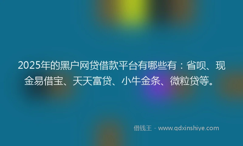 2025年的黑户网贷借款平台有哪些有：省呗、现金易借宝、天天富贷、小牛金条、微粒贷等。