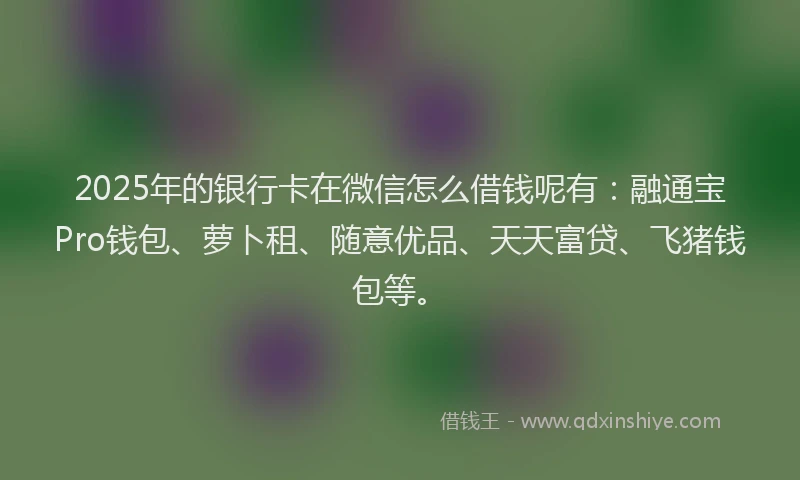 2025年的银行卡在微信怎么借钱呢有：融通宝Pro钱包、萝卜租、随意优品、天天富贷、飞猪钱包等。
