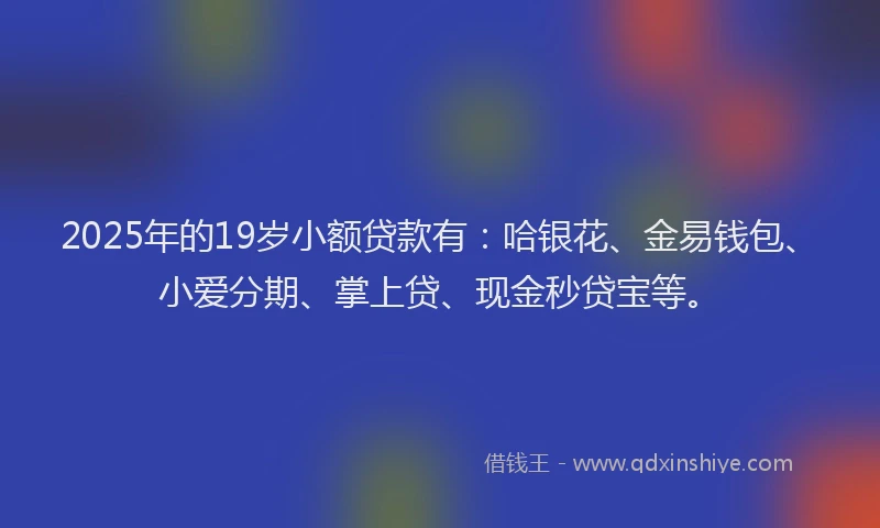2025年的19岁小额贷款有：哈银花、金易钱包、小爱分期、掌上贷、现金秒贷宝等。