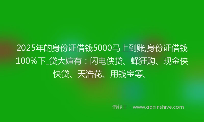 2025年的身份证借钱5000马上到账,身份证借钱100%下_贷大婶有：闪电侠贷、蜂狂购、现金侠快贷、天浩花、用钱宝等。