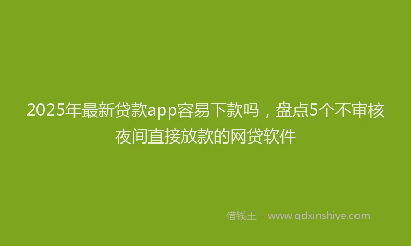 2025年最新贷款app容易下款吗，盘点5个不审核夜间直接放款的网贷软件