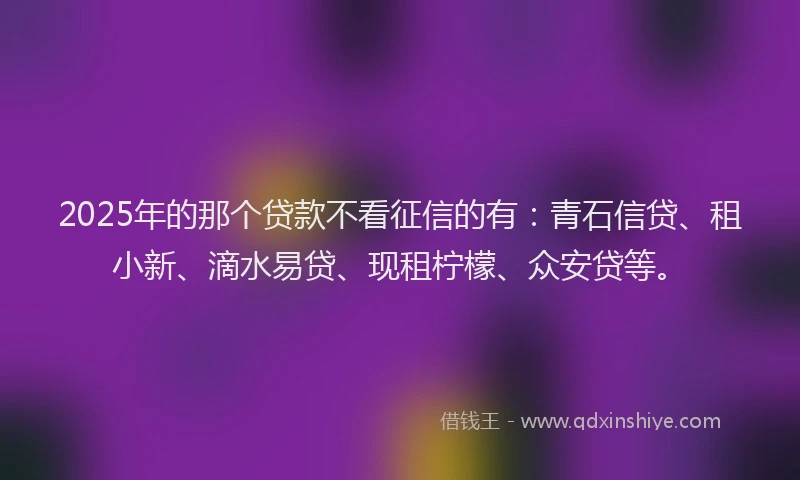 2025年的那个贷款不看征信的有：青石信贷、租小新、滴水易贷、现租柠檬、众安贷等。