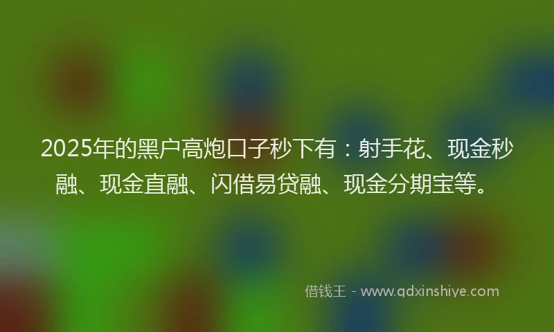 2025年的黑户高炮口子秒下有：射手花、现金秒融、现金直融、闪借易贷融、现金分期宝等。