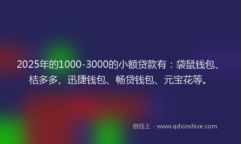 2025年的1000-3000的小额贷款有：袋鼠钱包、桔多多、迅捷钱包、畅贷钱包、元宝花等。