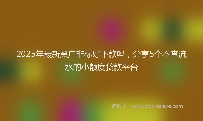 2025年最新黑户非标好下款吗，分享5个不查流水的小额度贷款平台