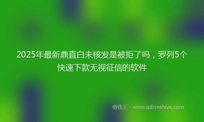 2025年最新鼎直白未核发是被拒了吗，罗列5个快速下款无视征信的软件