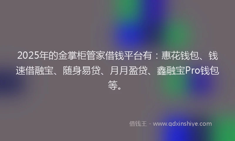 2025年的金掌柜管家借钱平台有：惠花钱包、钱速借融宝、随身易贷、月月盈贷、鑫融宝Pro钱包等。