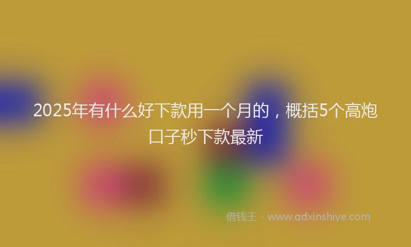 2025年有什么好下款用一个月的，概括5个高炮口子秒下款最新