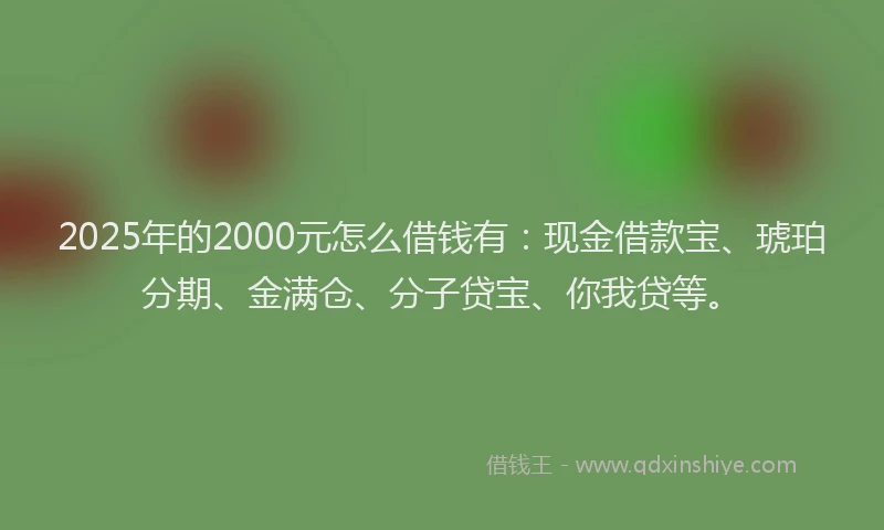 2025年的2000元怎么借钱有：现金借款宝、琥珀分期、金满仓、分子贷宝、你我贷等。