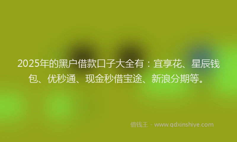 2025年的黑户借款口子大全有：宜享花、星辰钱包、优秒通、现金秒借宝途、新浪分期等。