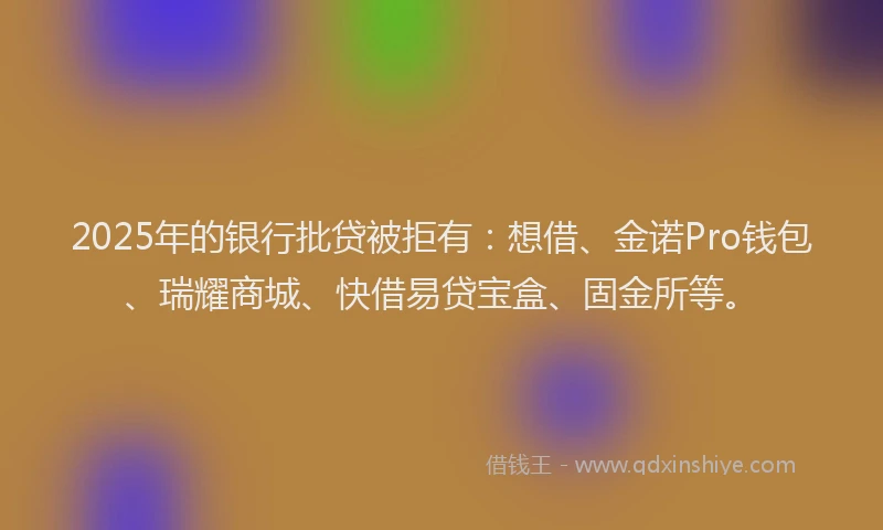 2025年的银行批贷被拒有：想借、金诺Pro钱包、瑞耀商城、快借易贷宝盒、固金所等。