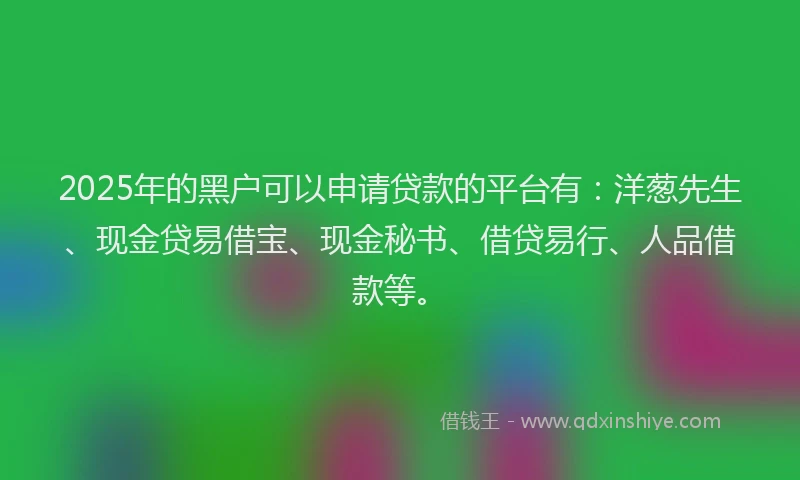 2025年的黑户可以申请贷款的平台有：洋葱先生、现金贷易借宝、现金秘书、借贷易行、人品借款等。