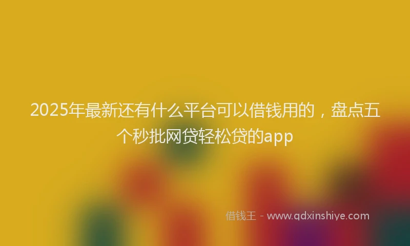 2025年最新还有什么平台可以借钱用的，盘点五个秒批网贷轻松贷的app