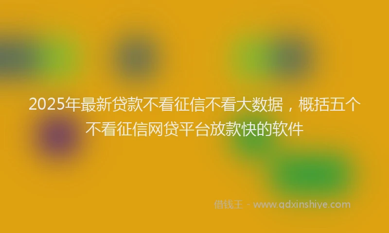 2025年最新贷款不看征信不看大数据，概括五个不看征信网贷平台放款快的软件