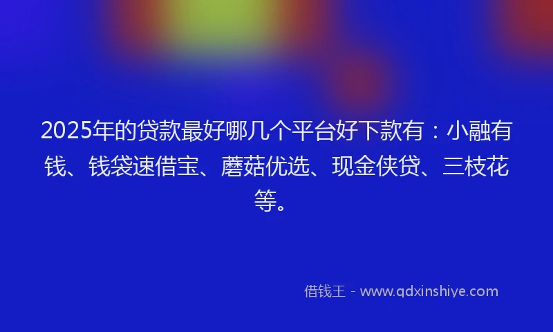 2025年的贷款最好哪几个平台好下款有：小融有钱、钱袋速借宝、蘑菇优选、现金侠贷、三枝花等。