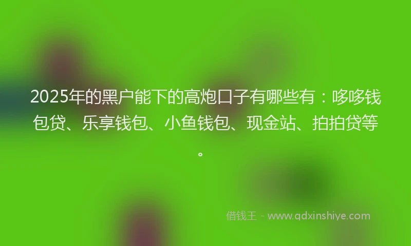 2025年的黑户能下的高炮口子有哪些有：哆哆钱包贷、乐享钱包、小鱼钱包、现金站、拍拍贷等。