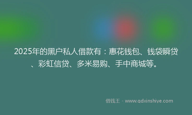2025年的黑户私人借款有：惠花钱包、钱袋瞬贷、彩虹信贷、多米易购、手中商城等。