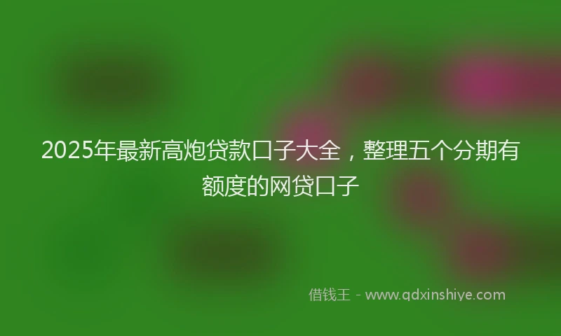 2025年最新高炮贷款口子大全，整理五个分期有额度的网贷口子