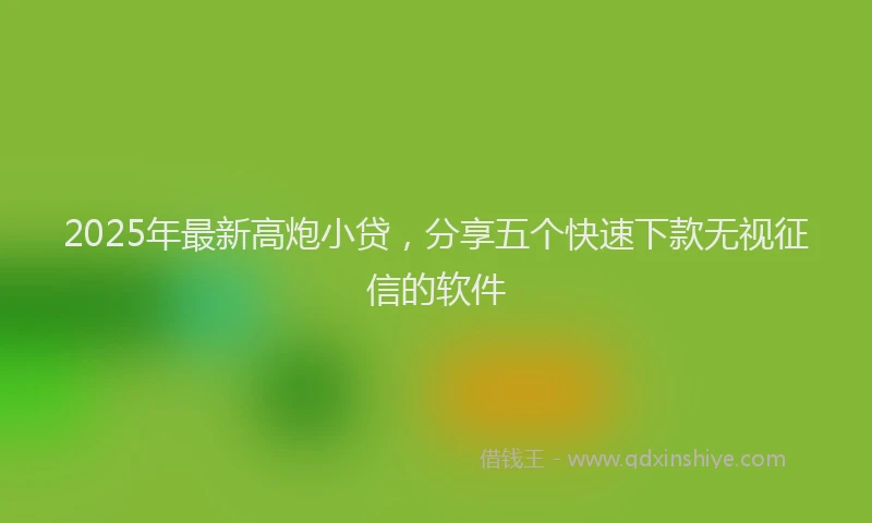 2025年最新高炮小贷，分享五个快速下款无视征信的软件