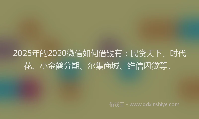 2025年的2020微信如何借钱有：民贷天下、时代花、小金鹤分期、尔集商城、维信闪贷等。