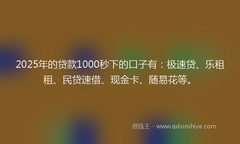 2025年的贷款1000秒下的口子有：极速贷、乐租租、民贷速借、现金卡、随易花等。
