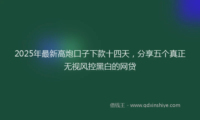 2025年最新高炮口子下款十四天，分享五个真正无视风控黑白的网贷
