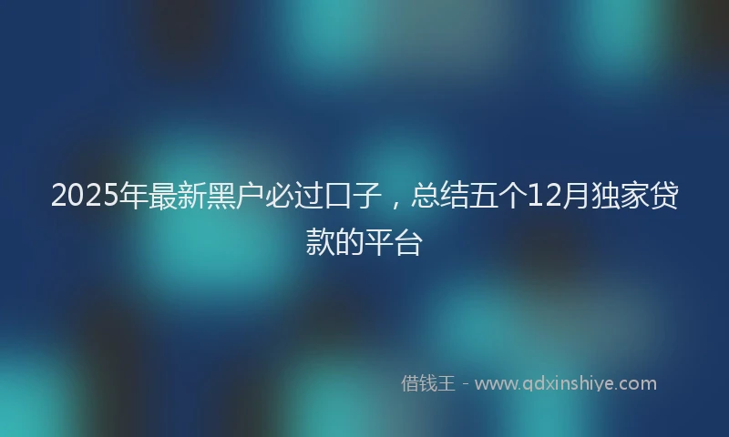 2025年最新黑户必过口子，总结五个12月独家贷款的平台