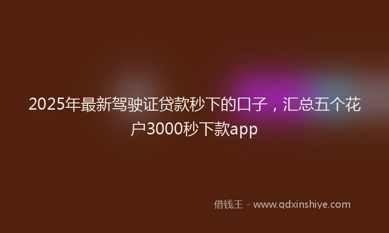 2025年最新驾驶证贷款秒下的口子，汇总五个花户3000秒下款app