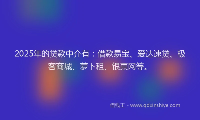 2025年的贷款中介有：借款易宝、爱达速贷、极客商城、萝卜租、银票网等。