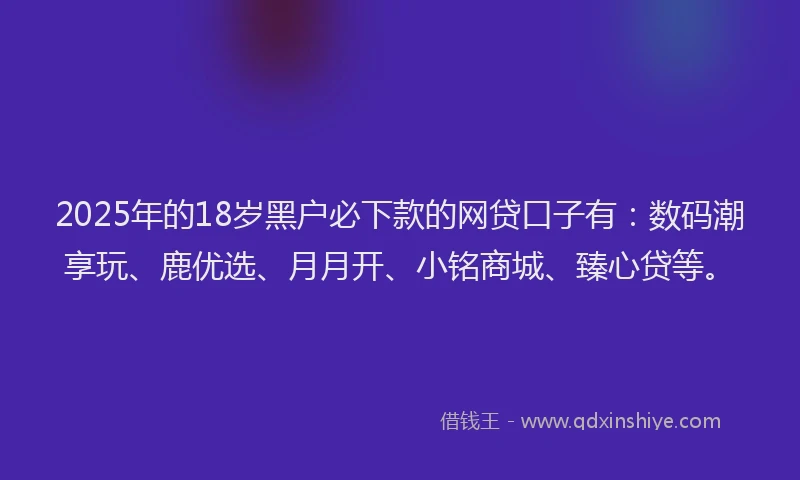 2025年的18岁黑户必下款的网贷口子有：数码潮享玩、鹿优选、月月开、小铭商城、臻心贷等。