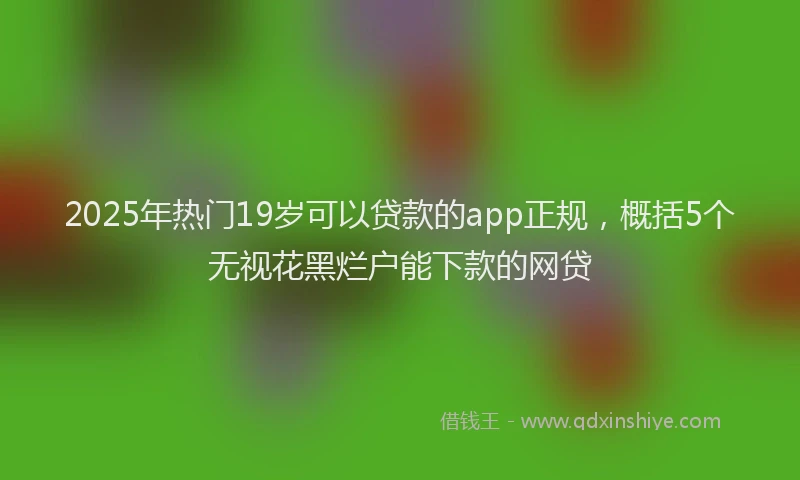 2025年热门19岁可以贷款的app正规，概括5个无视花黑烂户能下款的网贷