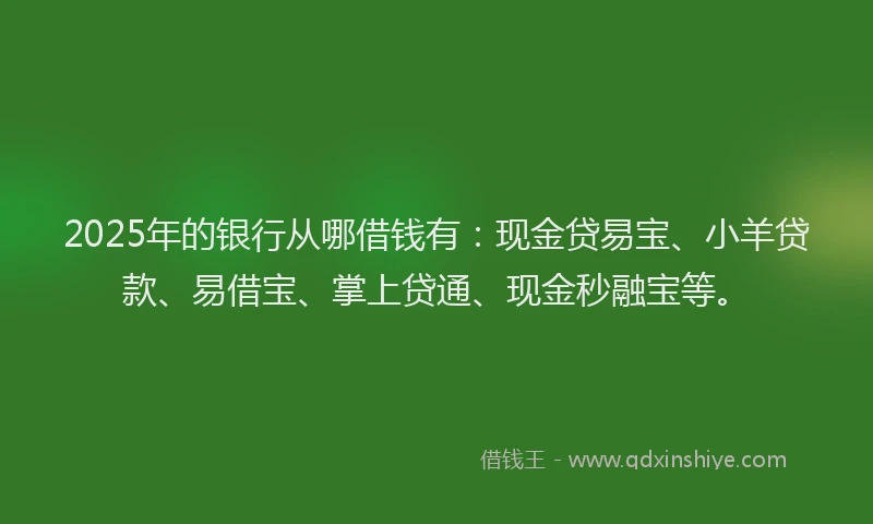 2025年的银行从哪借钱有：现金贷易宝、小羊贷款、易借宝、掌上贷通、现金秒融宝等。