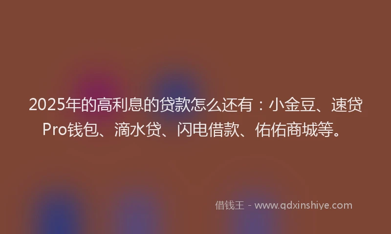 2025年的高利息的贷款怎么还有：小金豆、速贷Pro钱包、滴水贷、闪电借款、佑佑商城等。