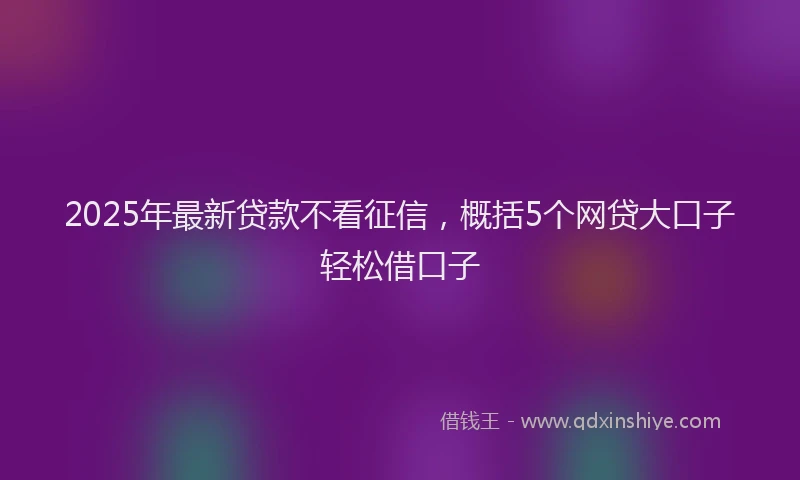 2025年最新贷款不看征信，概括5个网贷大口子轻松借口子