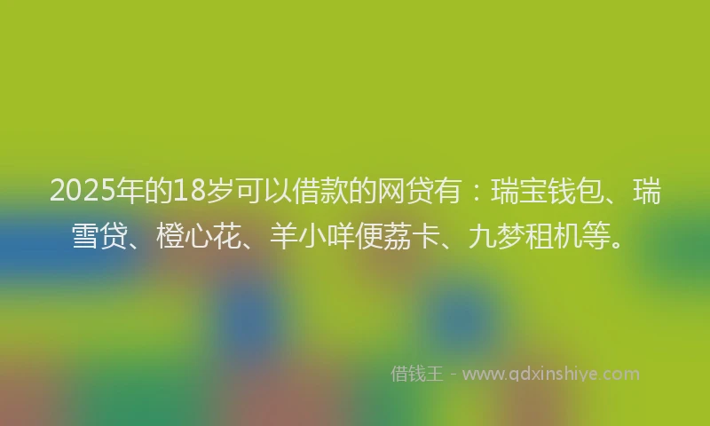 2025年的18岁可以借款的网贷有：瑞宝钱包、瑞雪贷、橙心花、羊小咩便荔卡、九梦租机等。