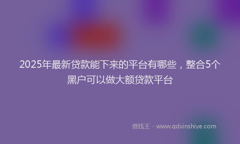 2025年最新贷款能下来的平台有哪些，整合5个黑户可以做大额贷款平台