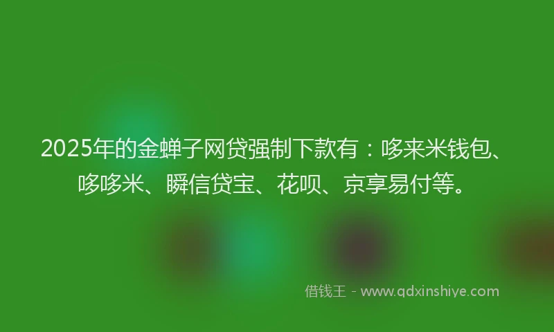 2025年的金蝉子网贷强制下款有：哆来米钱包、哆哆米、瞬信贷宝、花呗、京享易付等。