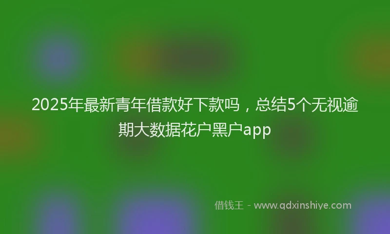 2025年最新青年借款好下款吗，总结5个无视逾期大数据花户黑户app