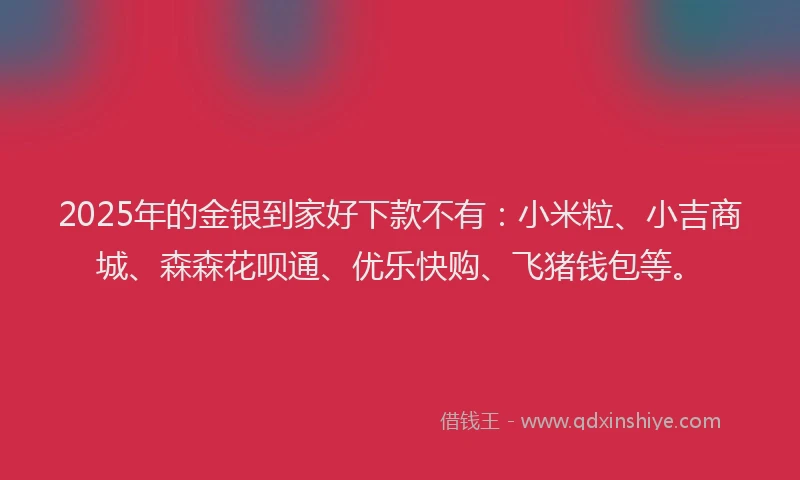 2025年的金银到家好下款不有：小米粒、小吉商城、森森花呗通、优乐快购、飞猪钱包等。