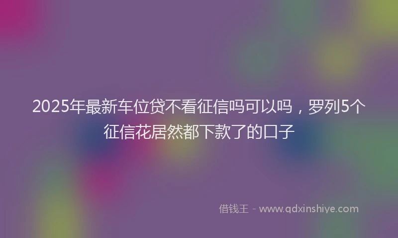 2025年最新车位贷不看征信吗可以吗，罗列5个征信花居然都下款了的口子