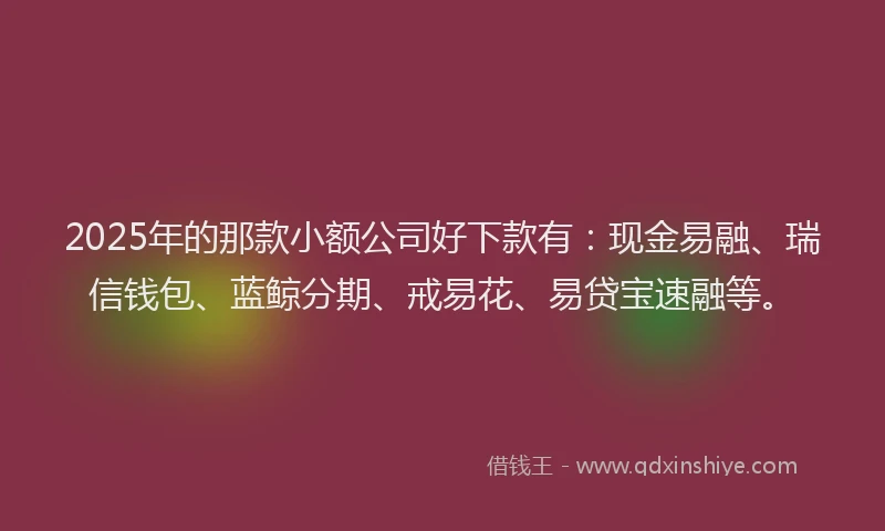 2025年的那款小额公司好下款有：现金易融、瑞信钱包、蓝鲸分期、戒易花、易贷宝速融等。