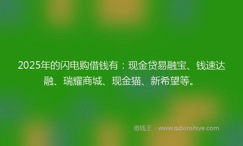 2025年的闪电购借钱有：现金贷易融宝、钱速达融、瑞耀商城、现金猫、新希望等。