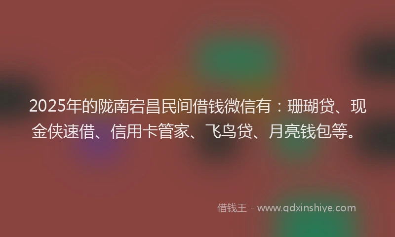 2025年的陇南宕昌民间借钱微信有：珊瑚贷、现金侠速借、信用卡管家、飞鸟贷、月亮钱包等。