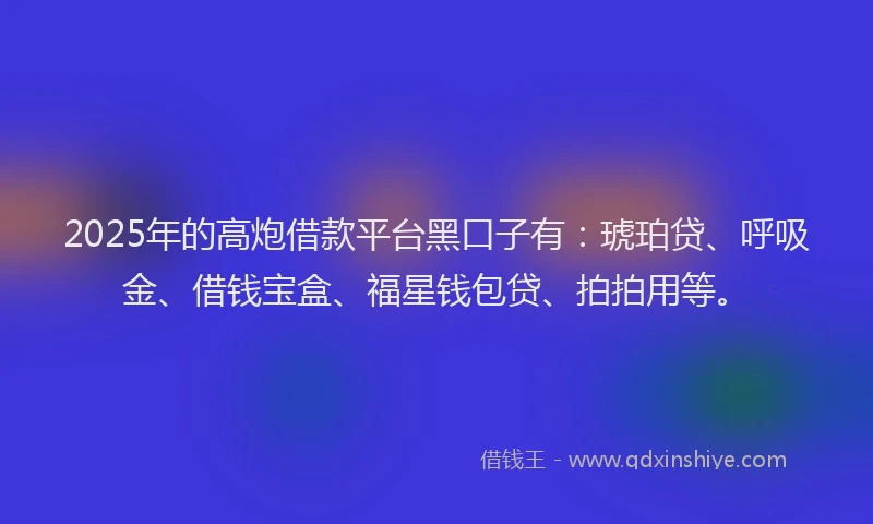 2025年的高炮借款平台黑口子有：琥珀贷、呼吸金、借钱宝盒、福星钱包贷、拍拍用等。