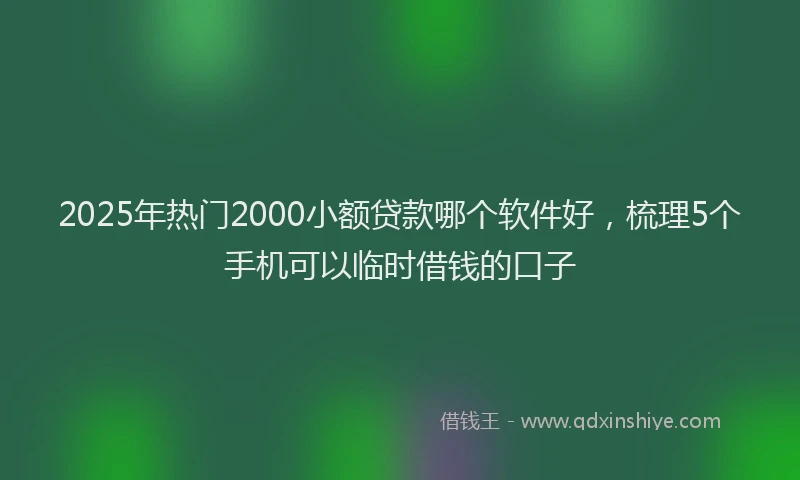 2025年热门2000小额贷款哪个软件好，梳理5个手机可以临时借钱的口子
